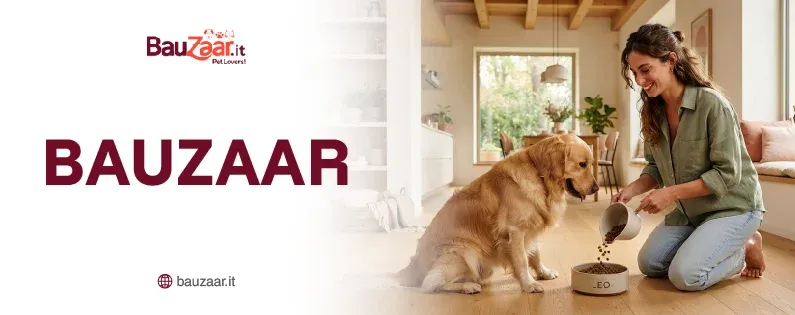 Codice Sconto Bauzaar - Coupondopa